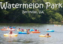 Tubing at Watermelon Park: Fun on The River – Full Details (2022)