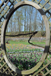 Asheville Walled Garden at Biltmore