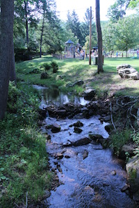 Capon Springs and Farm