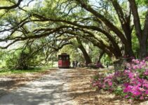 5 Best Charleston South Carolina Plantations to Visit