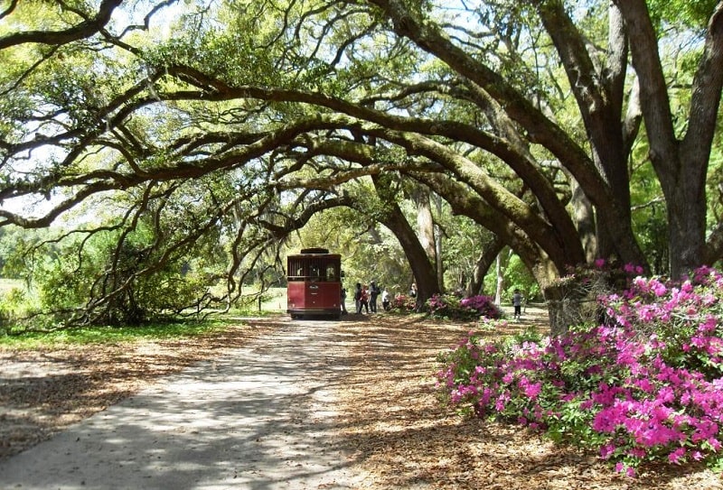 best plantations to visit south carolina