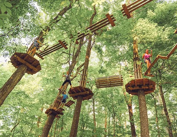 Go Ape Springfield Treetop Adventure Course