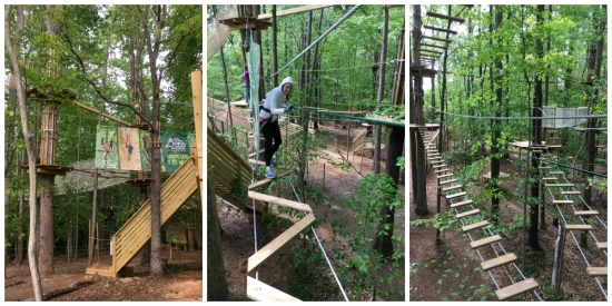 Go Ape Springfield ladders, obstacles and more