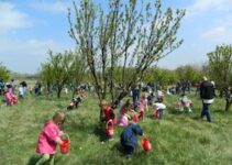 Great Country Farms’ Egg Hunt & Marshmallow Harvest