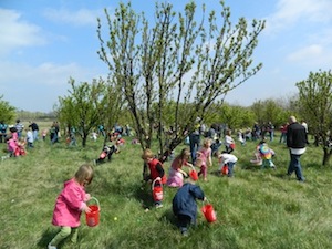 Great Country Farms’ Egg Hunt & Marshmallow Harvest