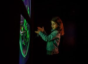 'New Nature' and 'Pulse,' Two New Interactive Art Exhibits in DC