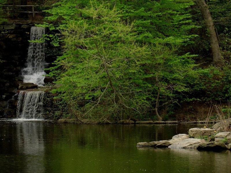 Winkler Botanical Preserve in Alexandria