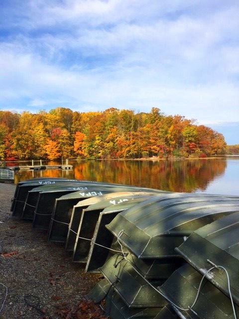 Burke Lake Campground |  Boating Activities