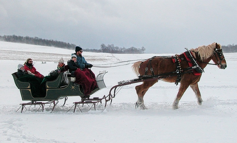 Horse drawn carriage rides in the snow at Deep Creek Lake