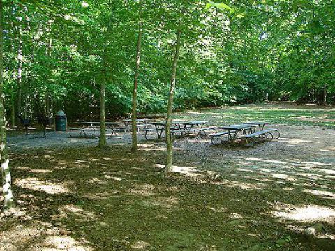 A sunny day at Burke Lake Park, Northern Virginia