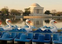 105 Things to Do With Kids in Washington DC