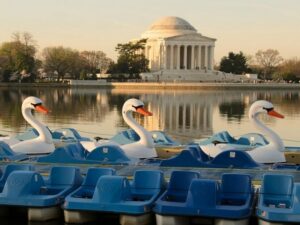 93 Things to Do With Kids in Washington DC