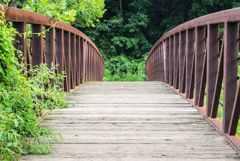 Bridge at Lake Needwood