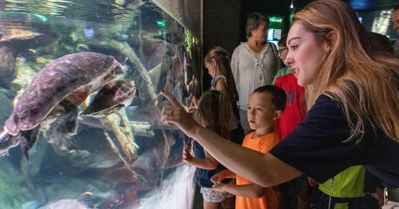 National Aquarium Baltimore people enjoying turtle display