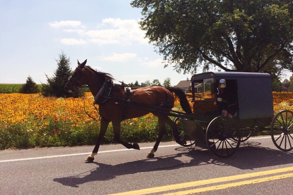 pennsylvania dutch tourism