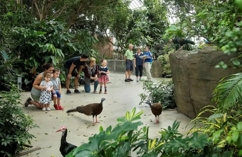 Condor Court - National Aviary in Pittsburgh