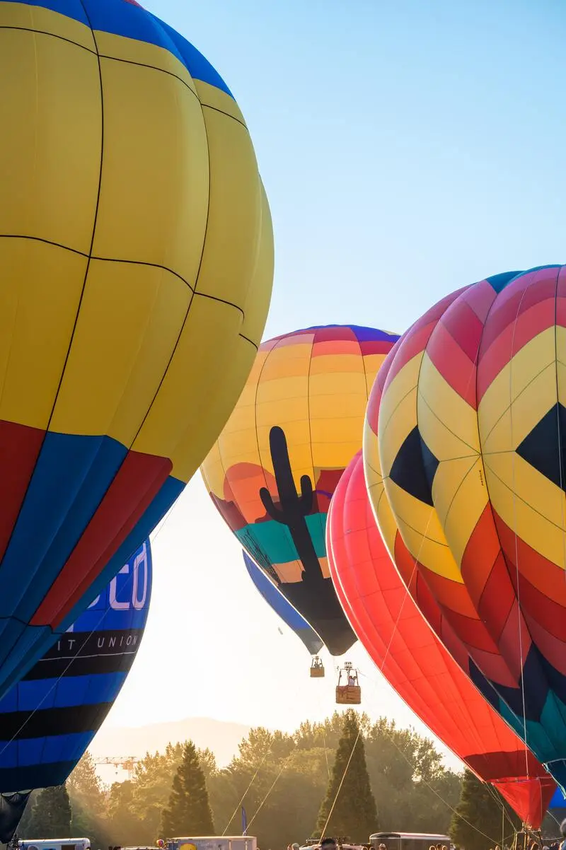 A group of colorful hot air balloons flying in the sky.