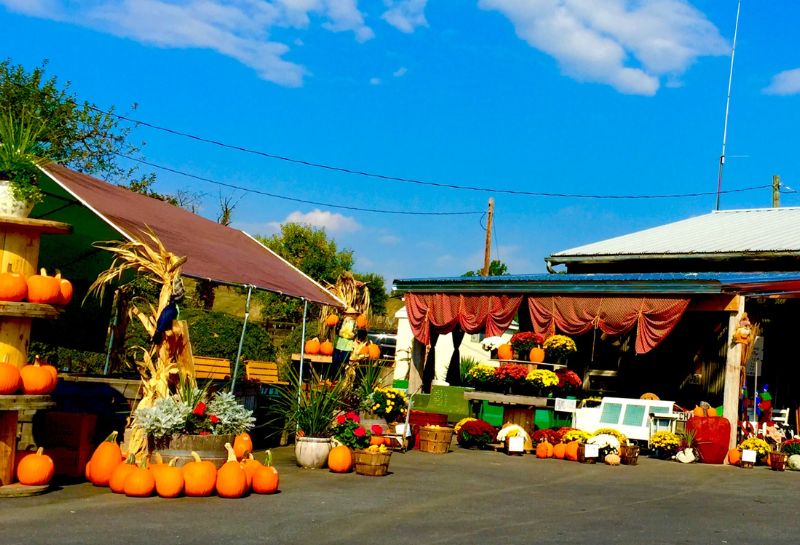 File photo of Richard's Fruit Market
