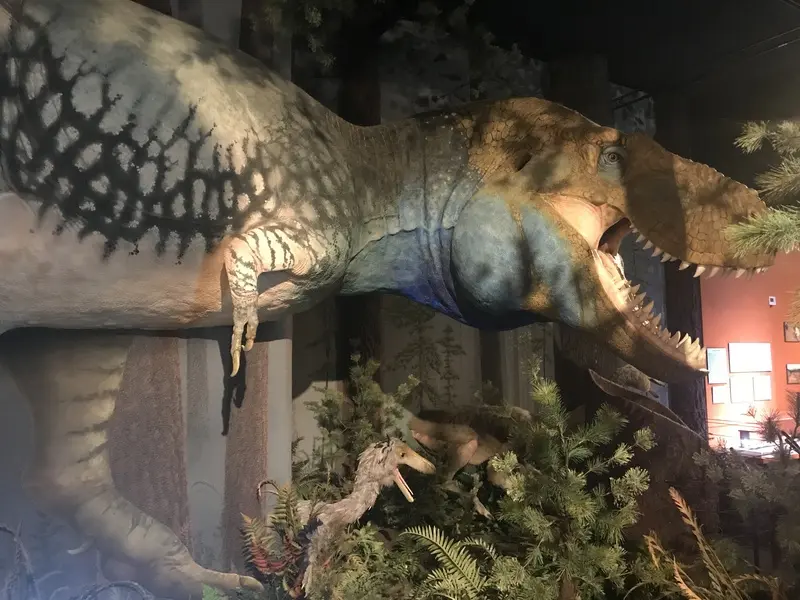 A tyrannosaurus rex is displayed in a museum.