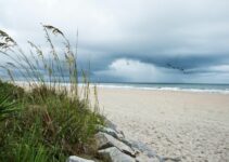 13 best beaches to find Shark Teeth in North Carolina