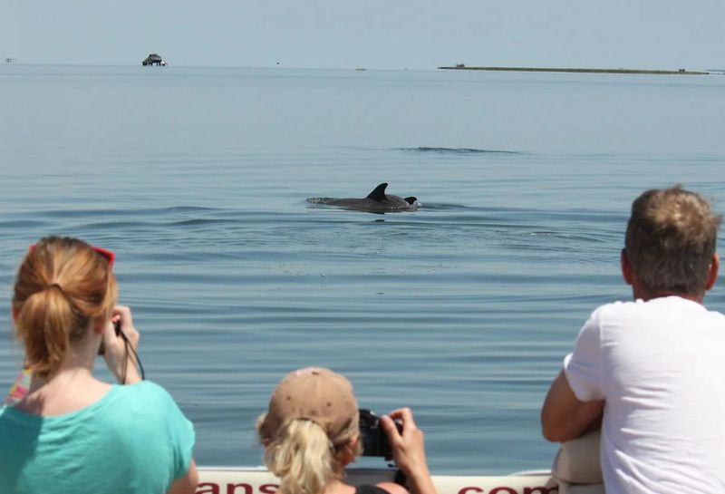 Family enjoying whale watching at Capt Dan's Tours in Virginia