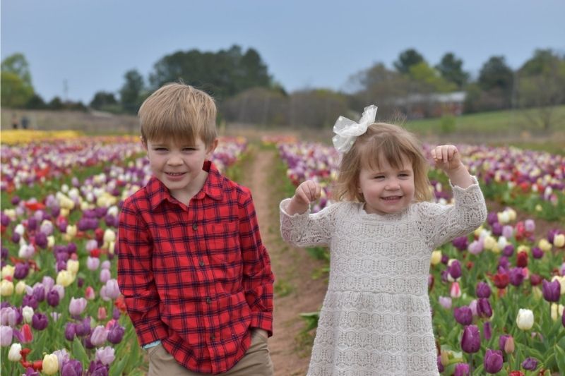 virginia spring festivals