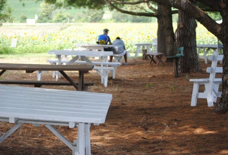 burnside farms picnic area