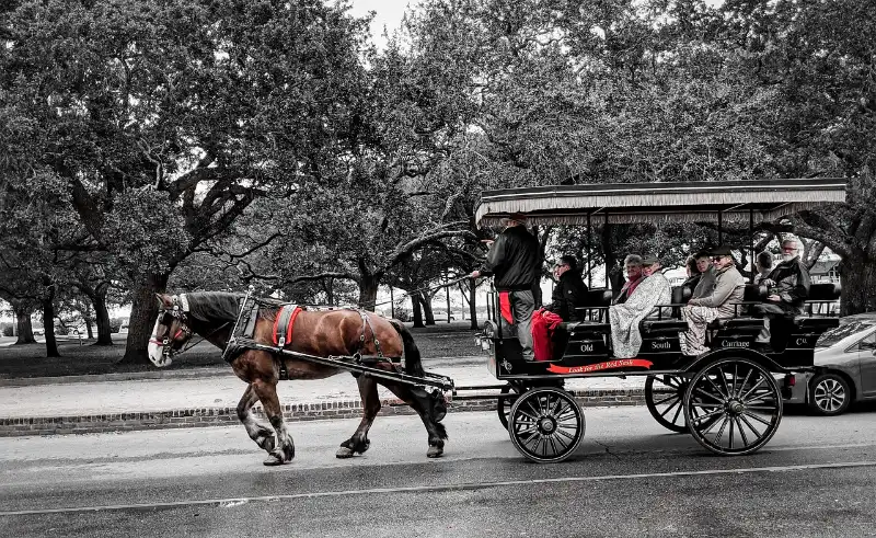 A black and white photo of a horse drawn carriage.