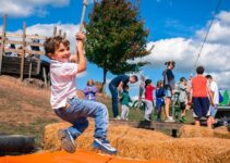 Cox Farms Fall Festival: Attractions, Animals, Food & More (2022)
