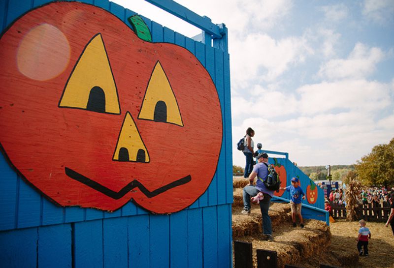 Fun tunnel at Cox Farms