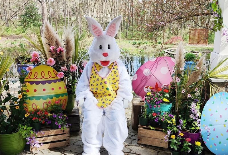 Easter bunny at Willow Herbs