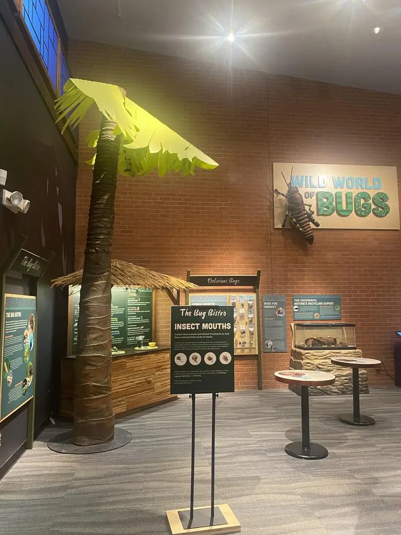 A display of insects in a building.