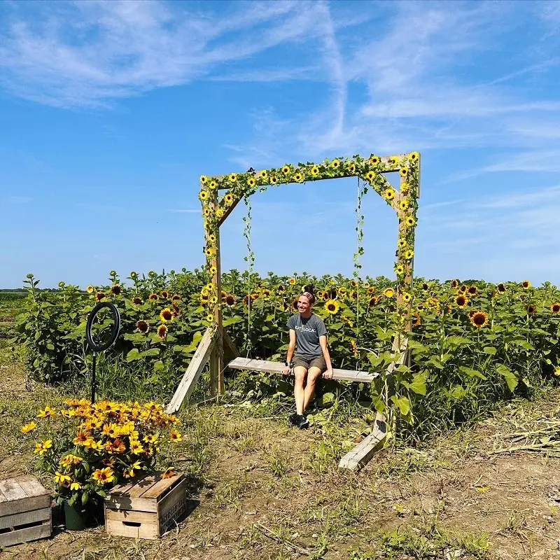 A woman swinging in a sunflower field in Maryland.