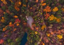 Best Time to See Fall Colors in Virginia  2022 (+ Map of 35 Places)