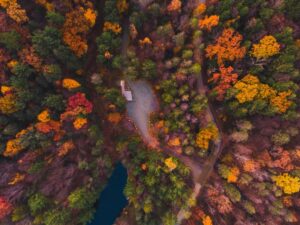 Best Time to See Fall Colors in Virginia  2023 (+ Map of 35 Places)