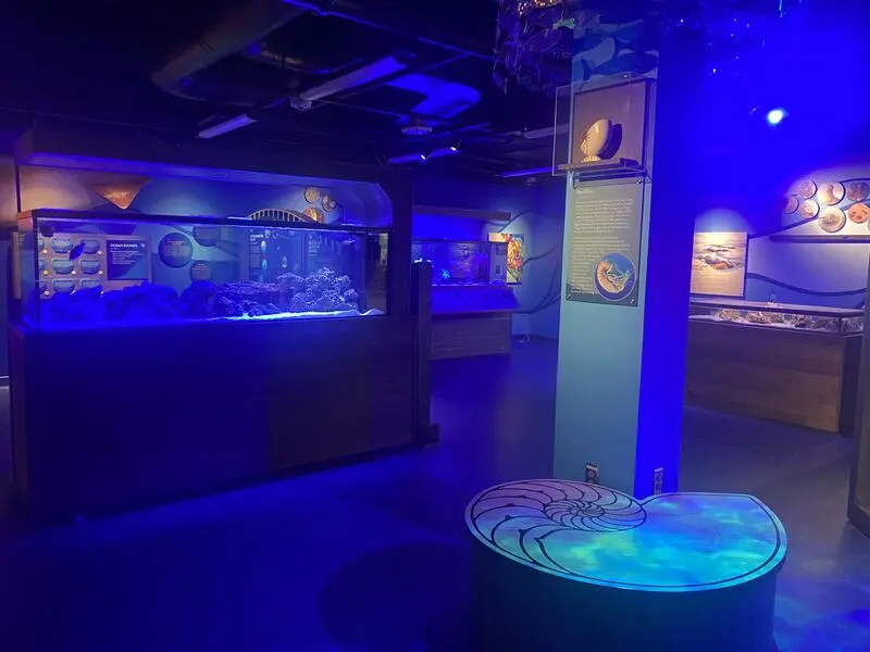 A room with aquariums and blue lights.