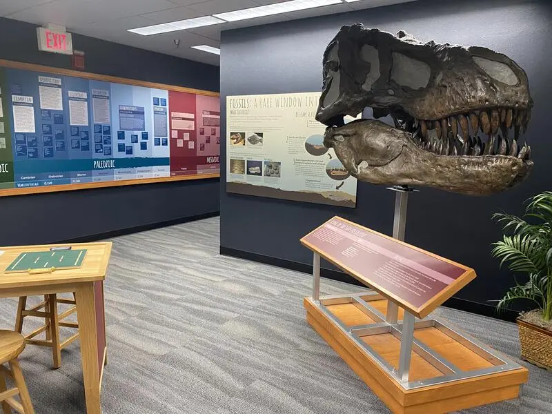 A dinosaur head on display in a room.