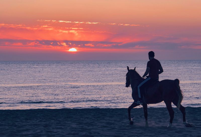 Riding horse on a beach at sunset