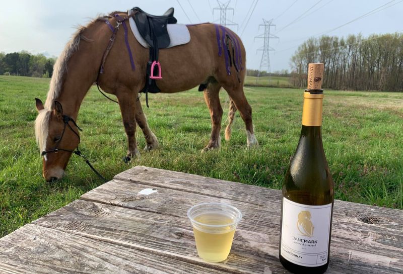 horse in the background and a glass of chilled wine poured from a wine bottle kept on a table at a beautiful farm