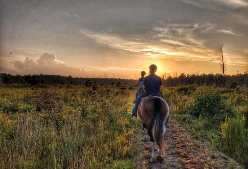 Riding into the sunset on a beautiful farm