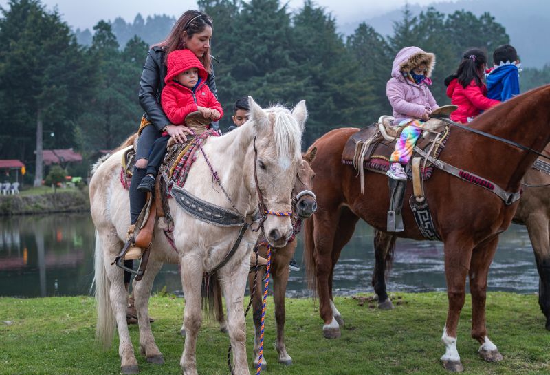 Mom and kids on a horse back