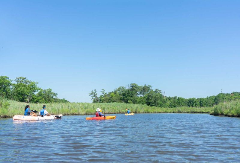 people kayaking in river