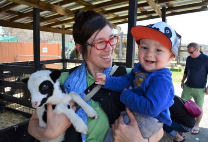 Petting zoo at the Leesburg Animal Farm