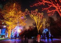 ZooLights at the Smithsonian’s National Zoo