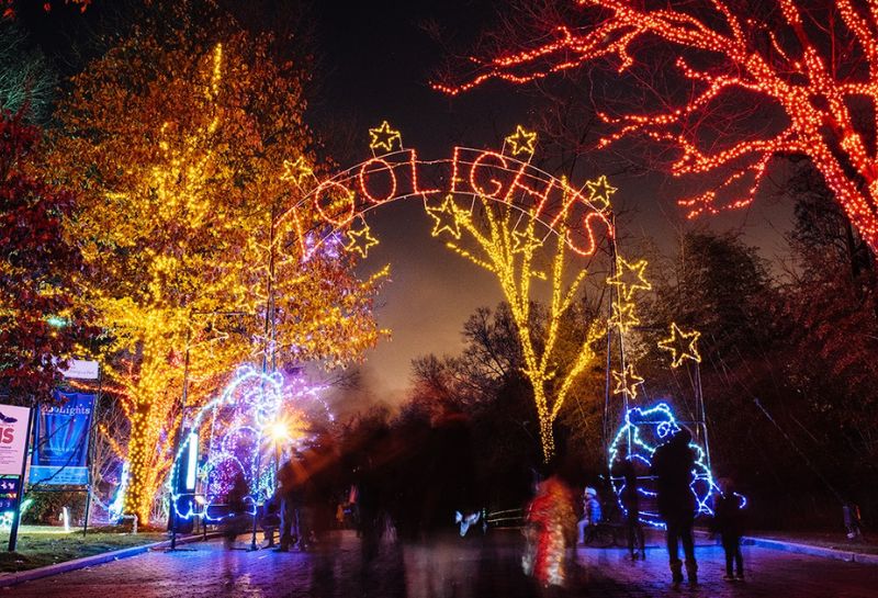 Smithsonian’s National Zoo Zoolights