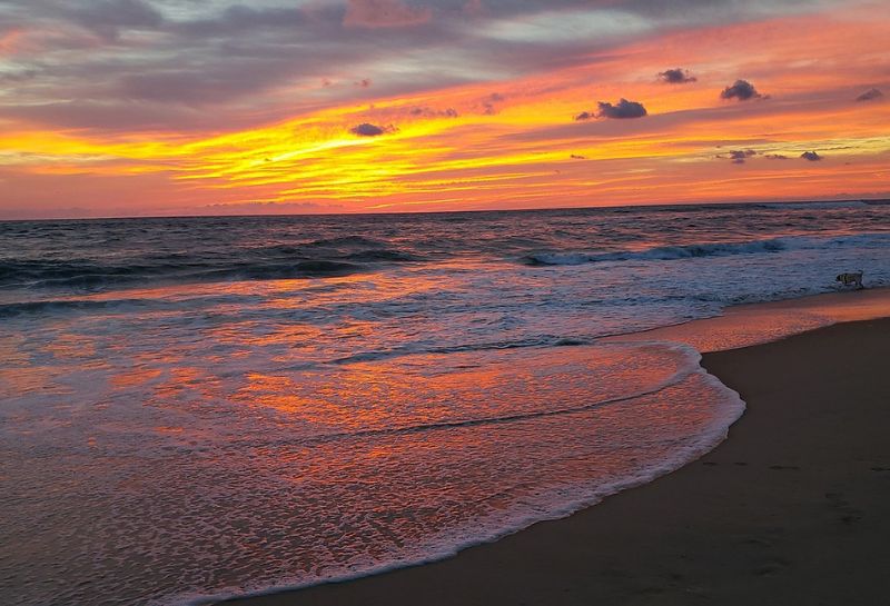 Golden hour at the Atlantic beach 