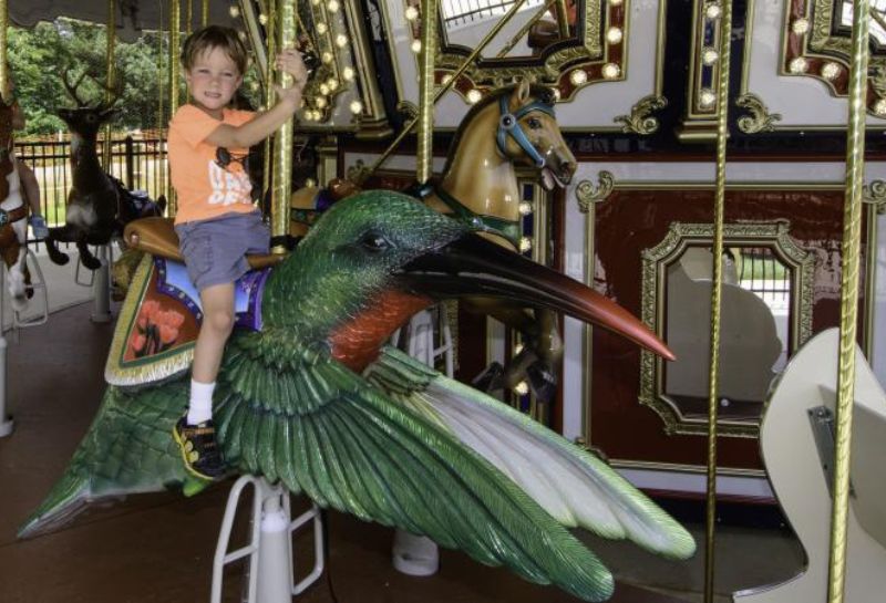 kid playing at the carousel at Spray Park in NoVA