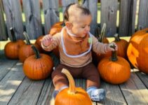 Fall Festival & Pumpkin Playground: Fun for the whole Family