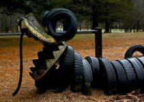 Seneca Creek State Park: Trails, Tire Playground, Lake & More