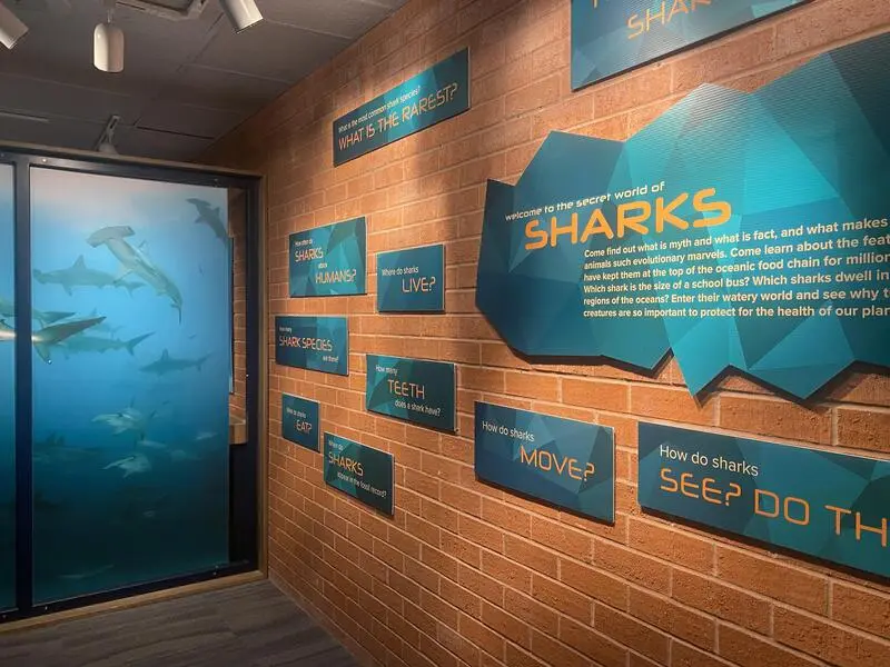 A shark exhibit in a museum with signs on the wall.